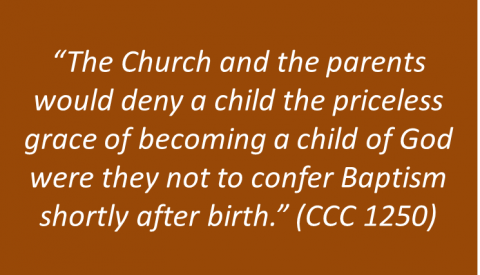Joel and Lisa Schmidt - Infant Baptism