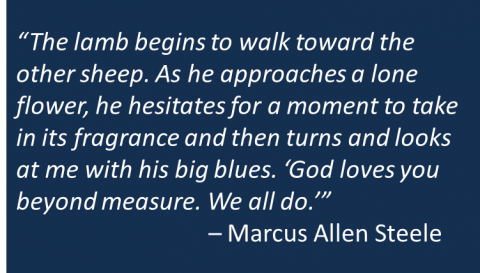 Marcus Allen Steele - Fable