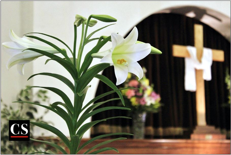 joy, easter, cross, resurrection, lily, Triduum