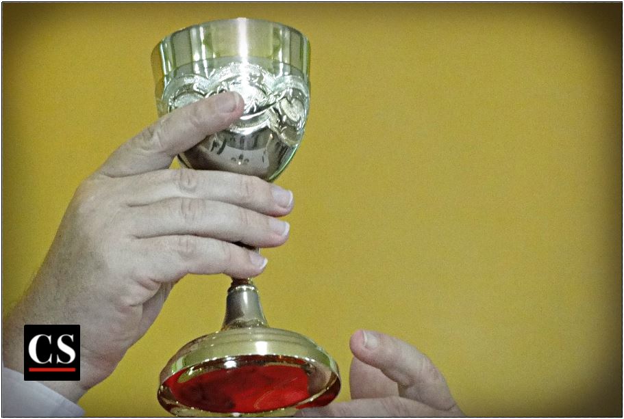 Precious Blood, pelican