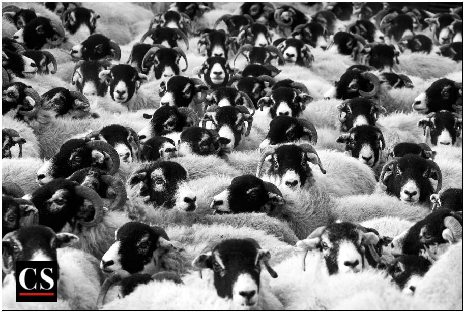 church, people, imitation