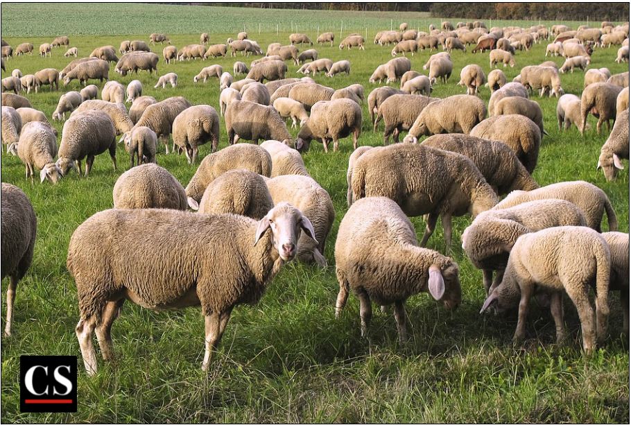 moral relativism, homosexuality