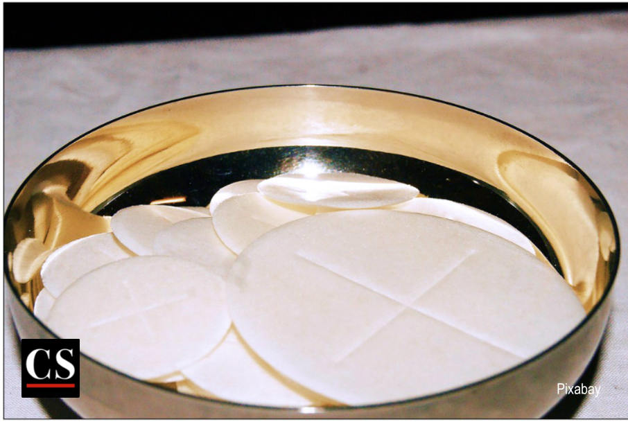 eucharist, minister, extraordinary minister of holy communion, ordinary minister