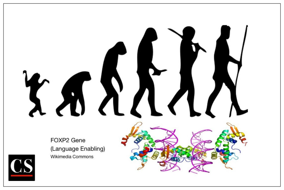 Mitochondrial Eve, Dawkins
