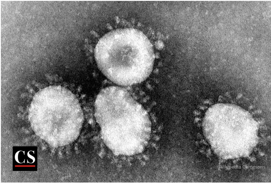 sneeze, corona virus, Covid-19, pandemic, Covid, vaccine, COVID