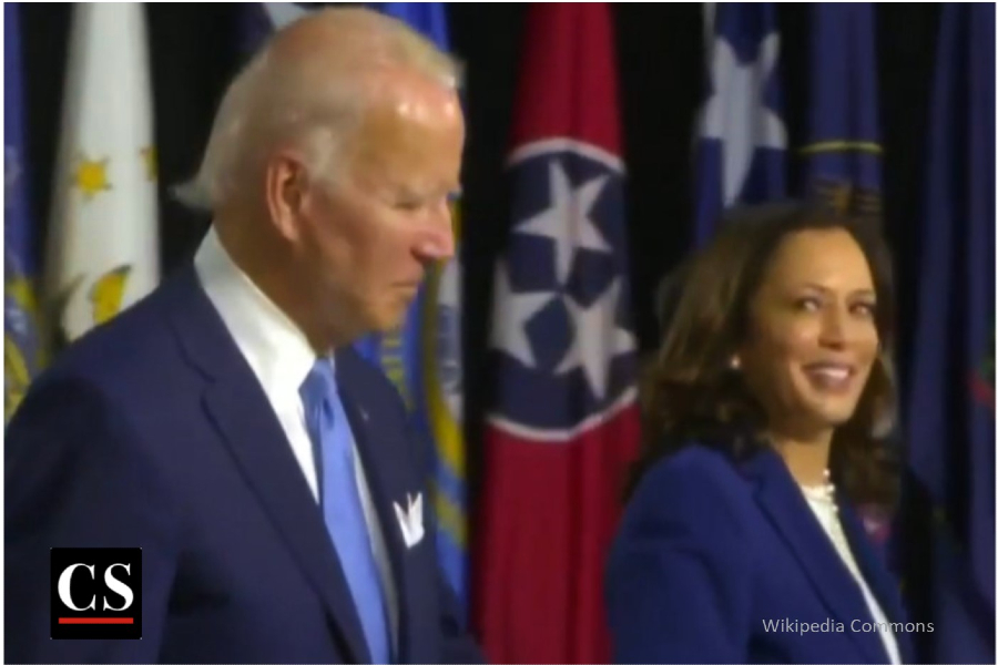 joe biden, Kamala Harris, presidential candidate, vice-president, character