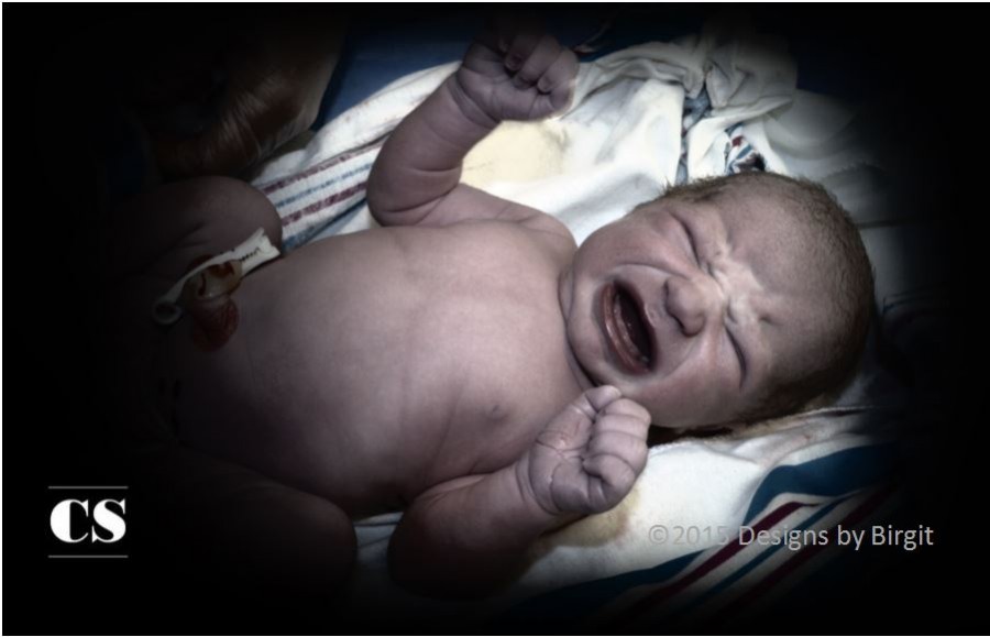 baby, abortion, baby body parts