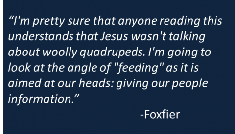 Foxfier - Feeding Sheep
