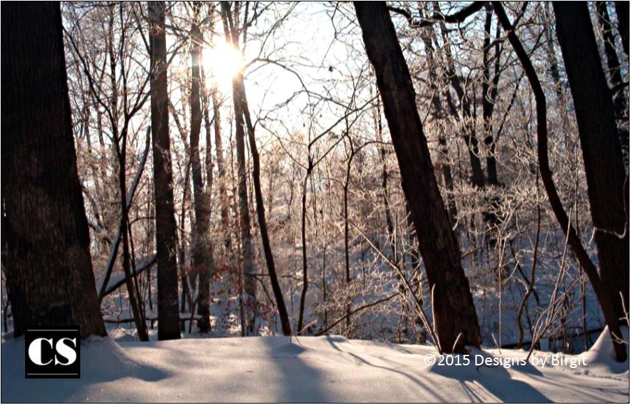 peace, hope, renewal, purity, winter