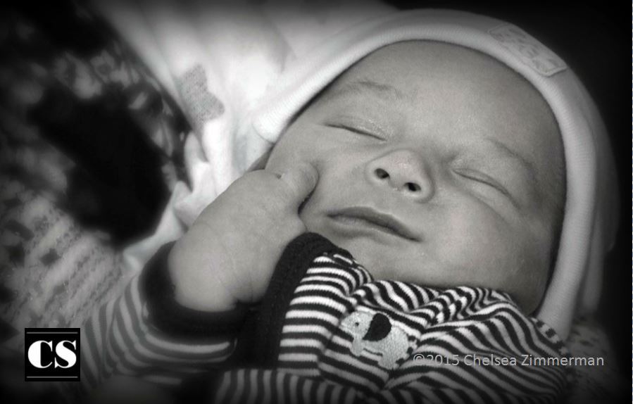 baby, family, nfp, prolife, pro-life, zebra