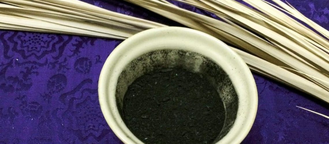 52595723627_4fc48b1067_b