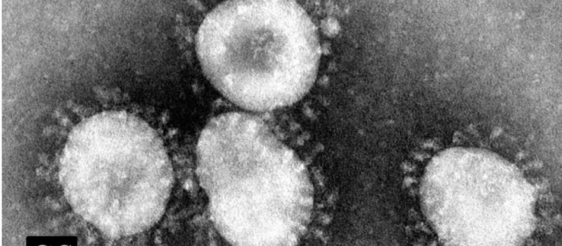 sneeze, corona virus, Covid-19, pandemic, Covid, vaccine, COVID