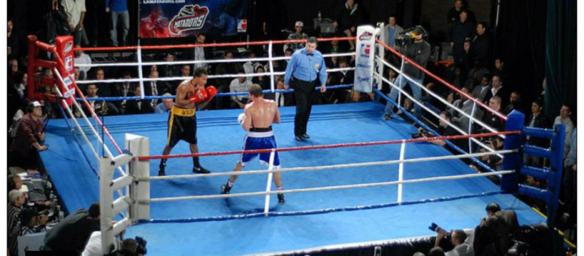800px-World_Series_Boxing_Ring