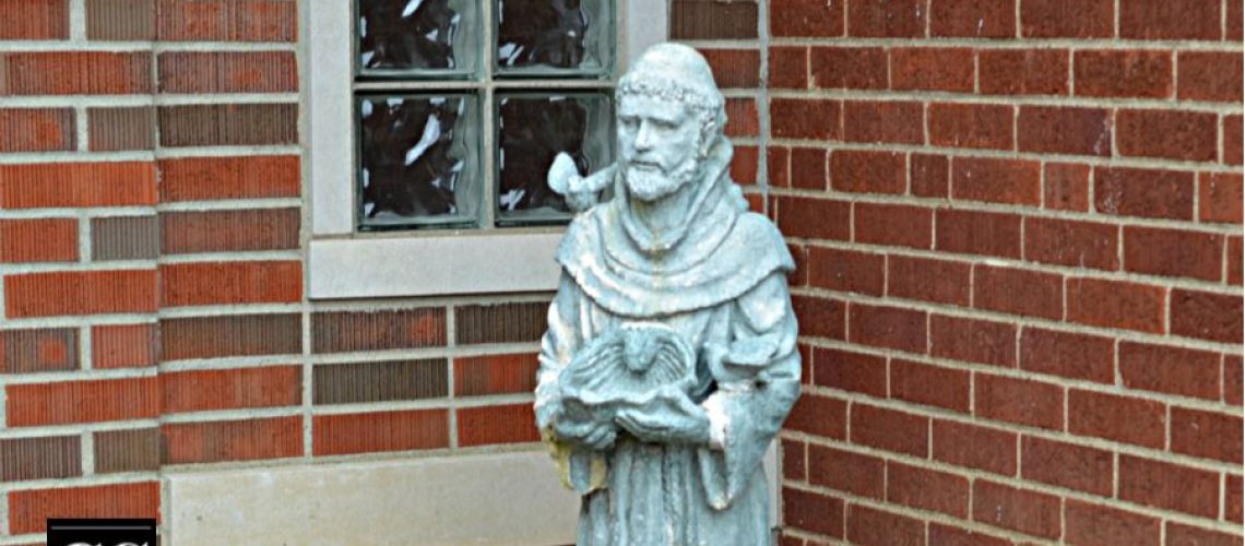 Birgit - saint francis