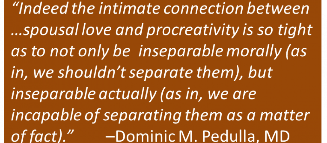 Dominic Pedulla - Contraception 3