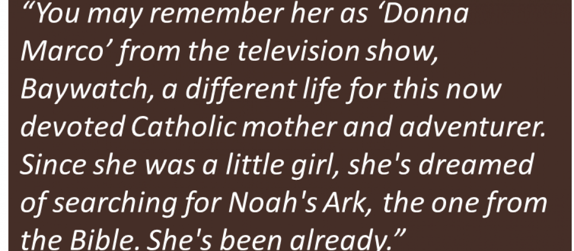 Donna D\'Errico quote box