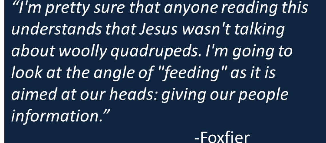 Foxfier - Feeding Sheep