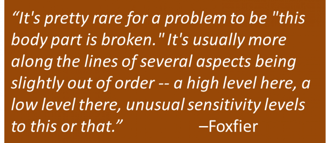 Foxfier - Sin and Illness