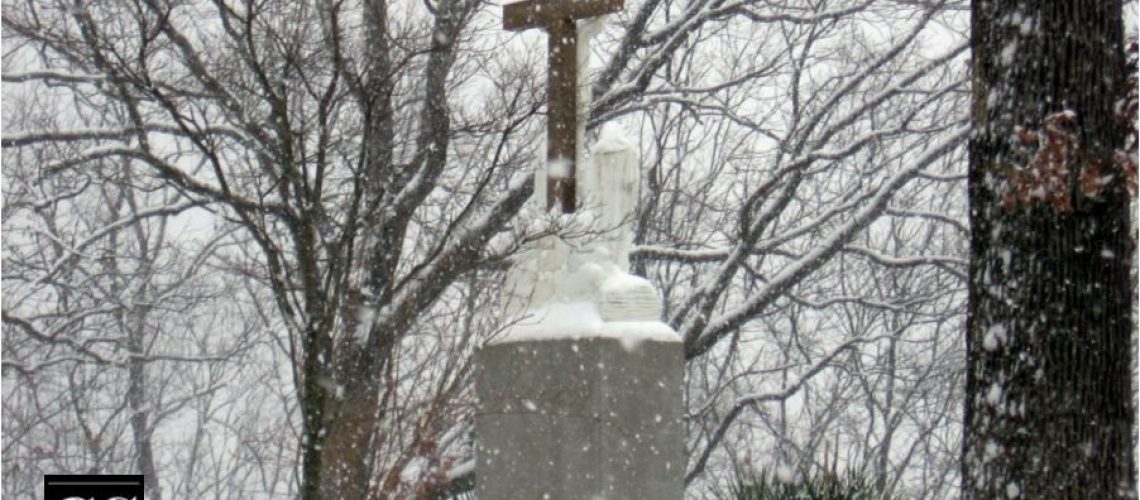 Frank - snow cross