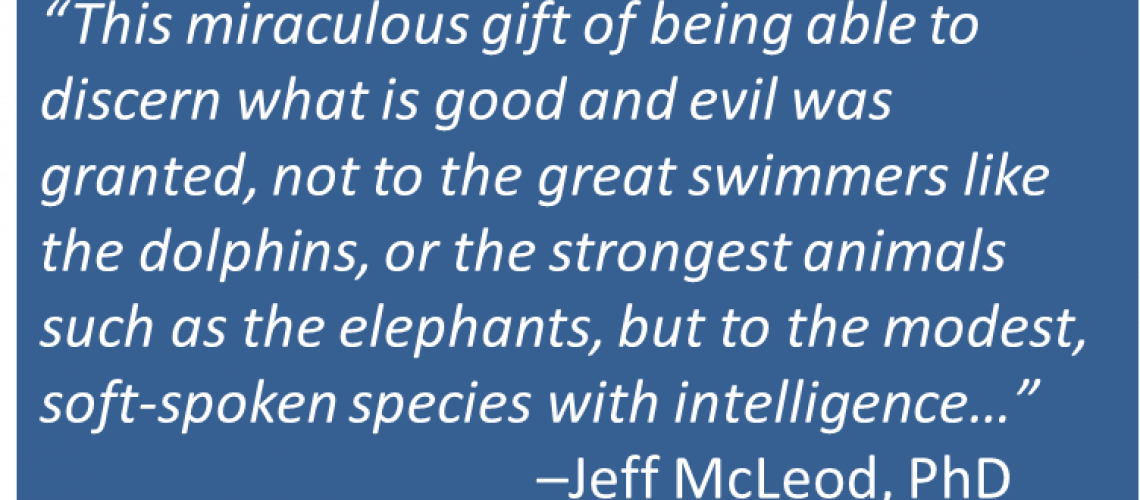 Jeff McLeod - Catechesis on Conscience