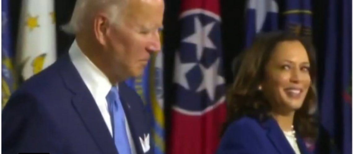 joe biden, Kamala Harris, presidential candidate, vice-president, character