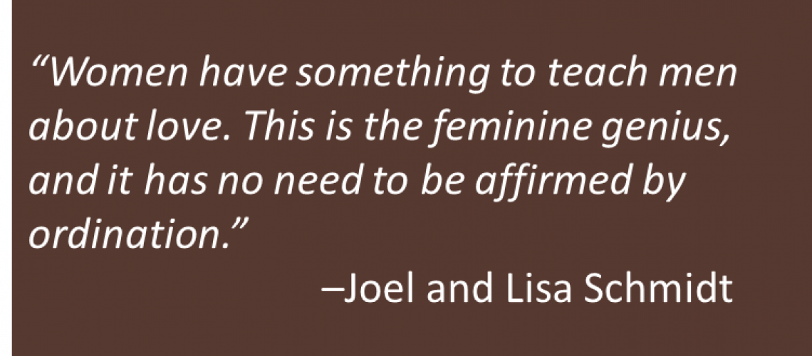 Joel and Lisa Schmidt - Deaconess