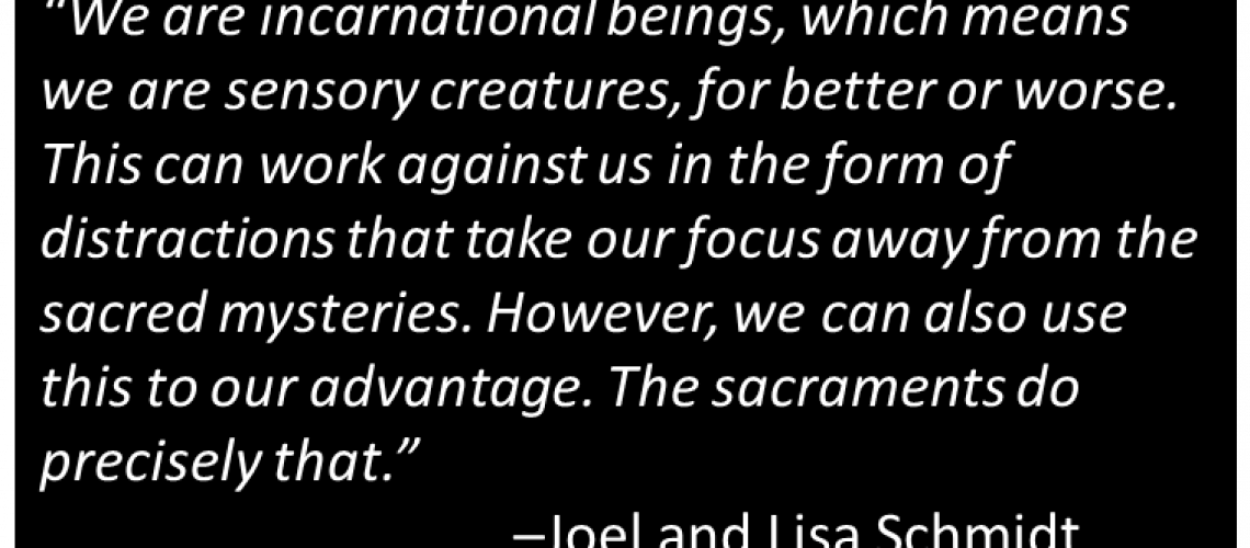 Joel and Lisa Schmidt - Holy Distraction