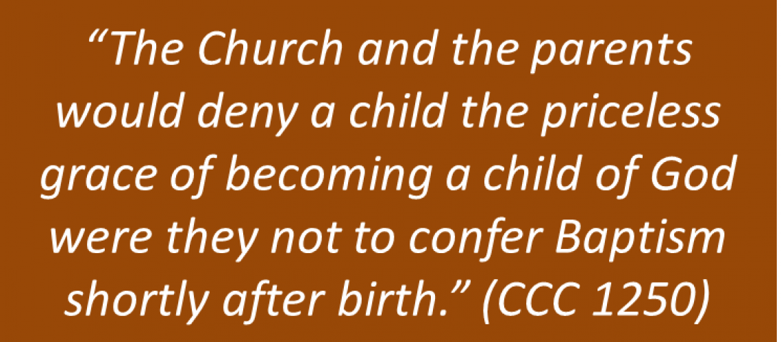 Joel and Lisa Schmidt - Infant Baptism