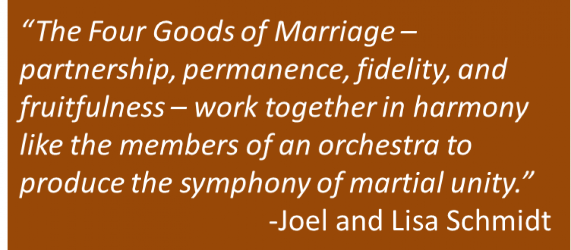 Joel and Lisa Schmidt - Two Become One