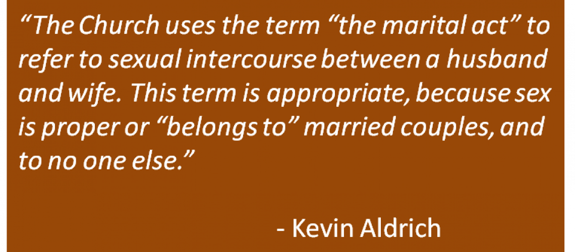 Kevin Aldrich - Bonding Babies