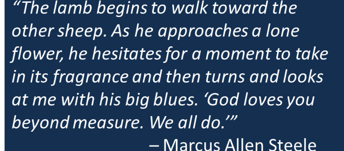 Marcus Allen Steele - Fable