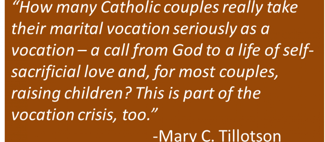 Mary C. Tillotson - Vocation