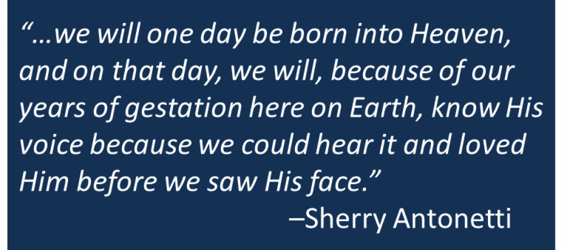 Sherry Antonetti - Gestation