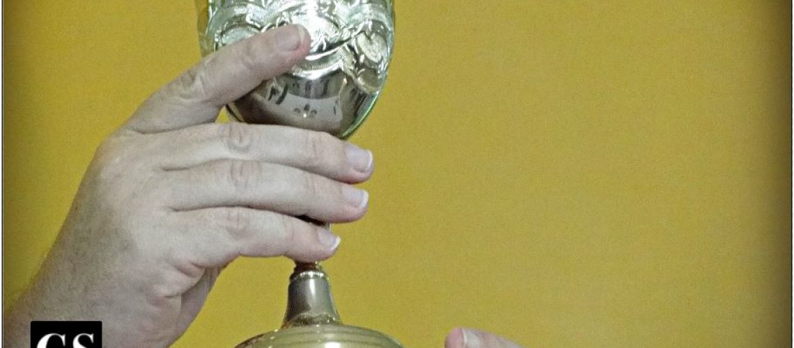 Precious Blood, pelican