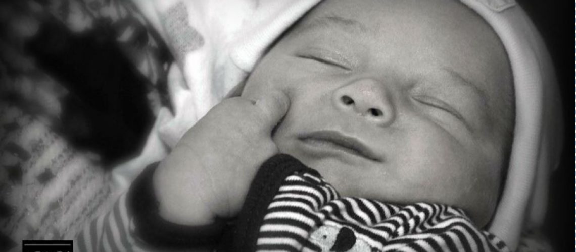 baby, family, nfp, prolife, pro-life, zebra