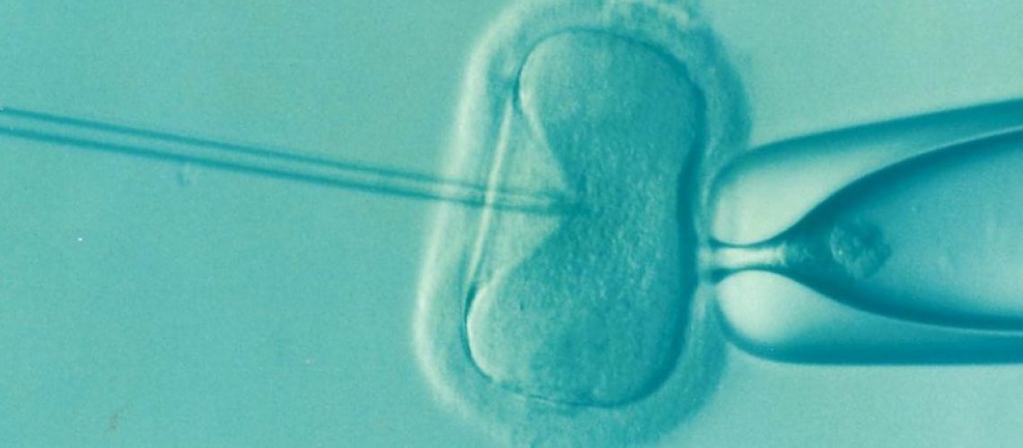 ivf-fertility-infertility-ace762-1024