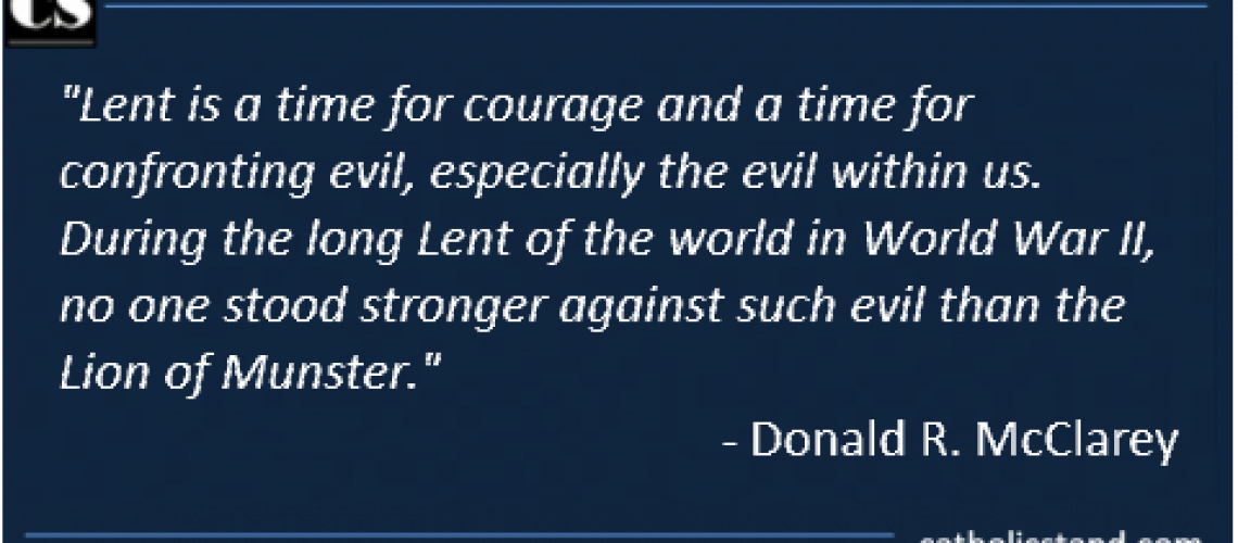 mcclary the lion of munster