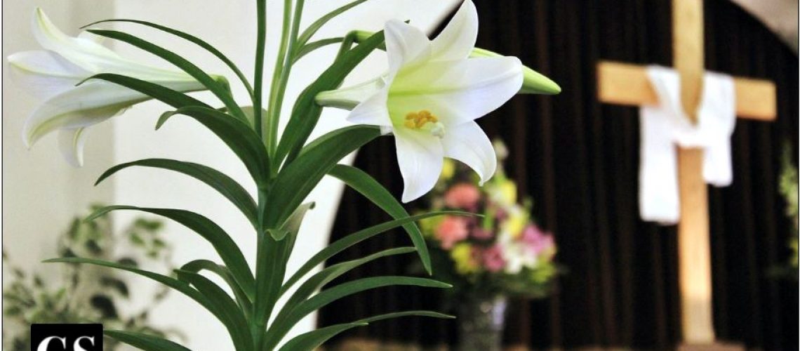 joy, easter, cross, resurrection, lily, Triduum