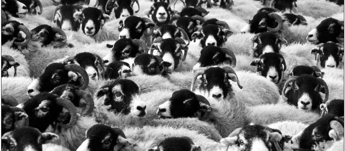 church, people, imitation