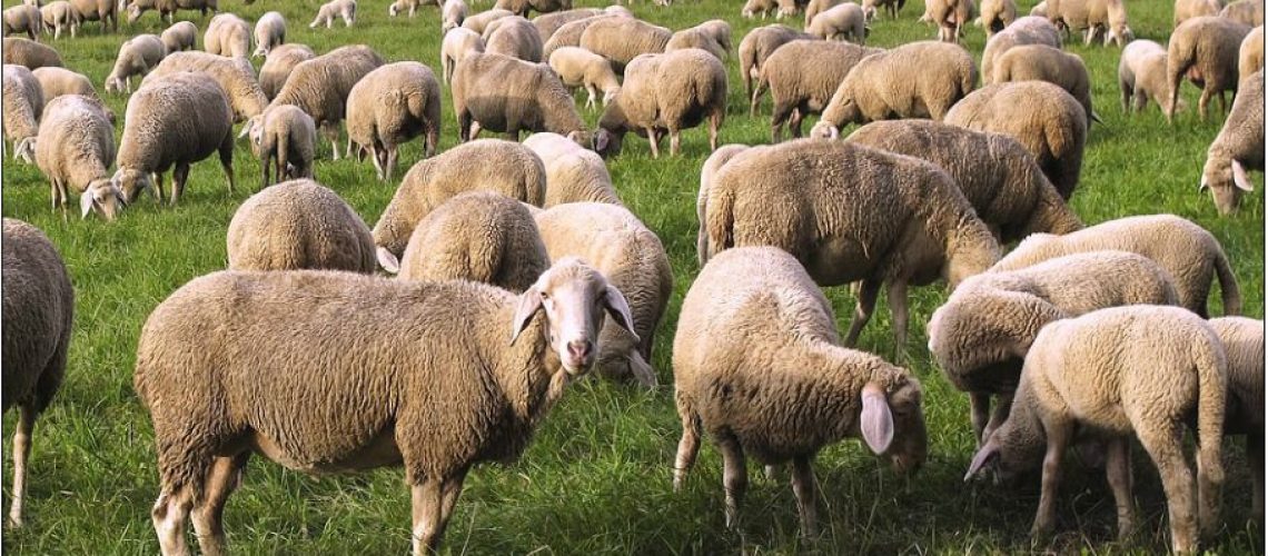 moral relativism, homosexuality