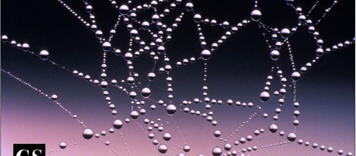 spider web and dew
