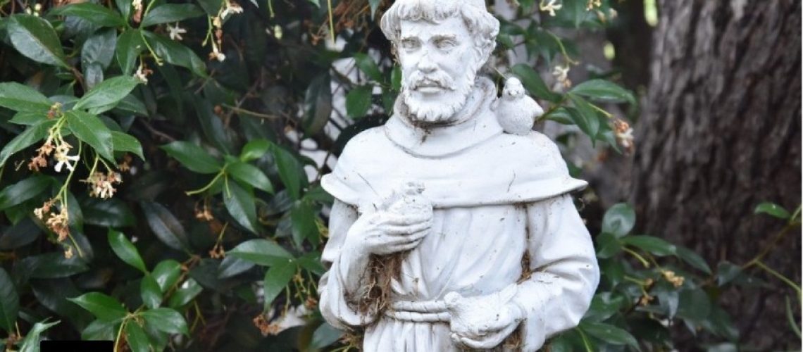 St. Francis, stigmatists