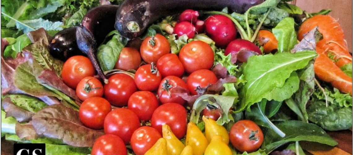 vegetables, fresh, garden, food, market, vegetarian