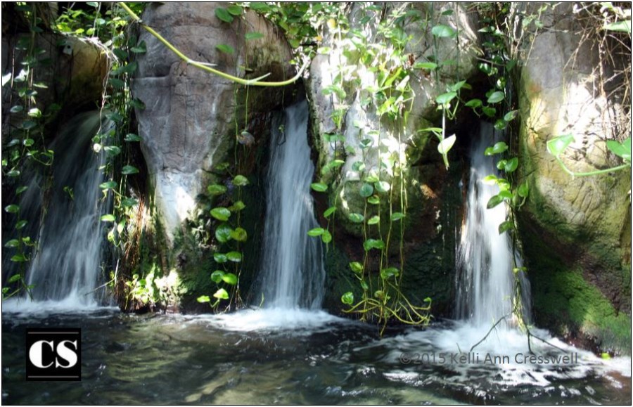 water, baptism, purity